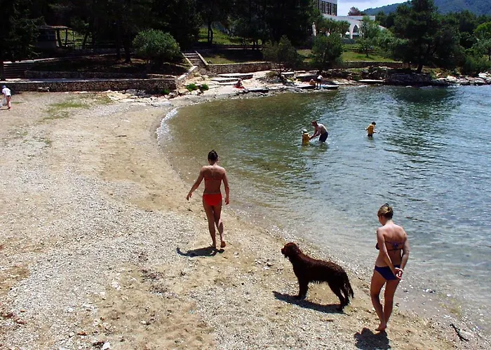 And With Parking Space Stari Grad, Hvar - 14888